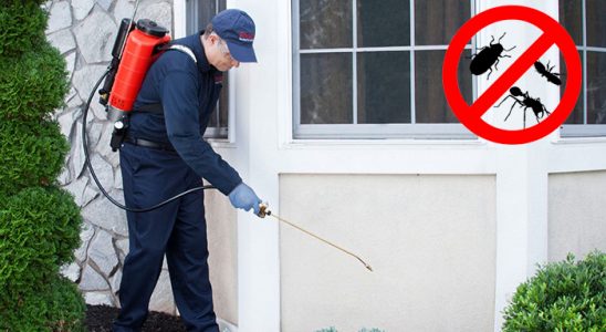 Sasalı Kene İlaçlama böcek ilaçlama ve haşere kontrolü — ilaclama-tr.com